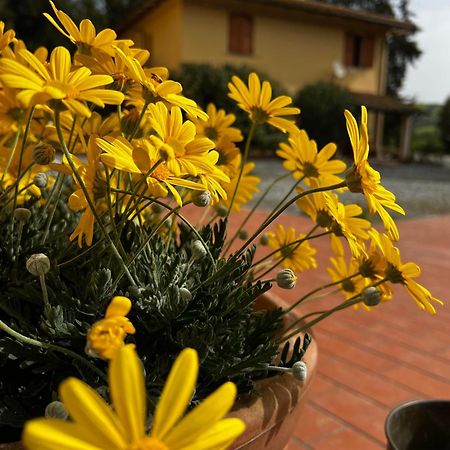 Agriturismo La Cerbana Palaia Eksteriør bilde