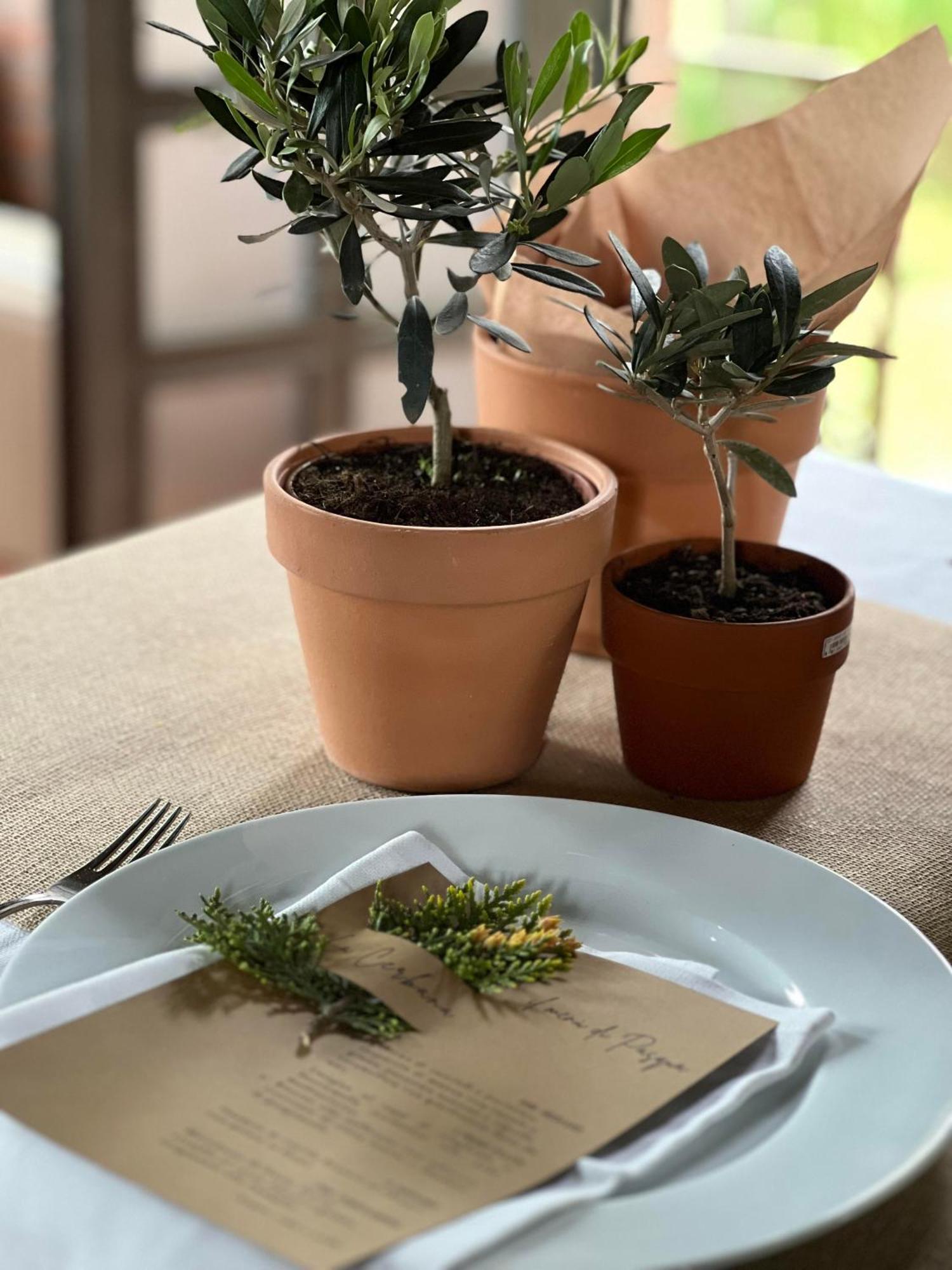 Agriturismo La Cerbana Palaia Eksteriør bilde