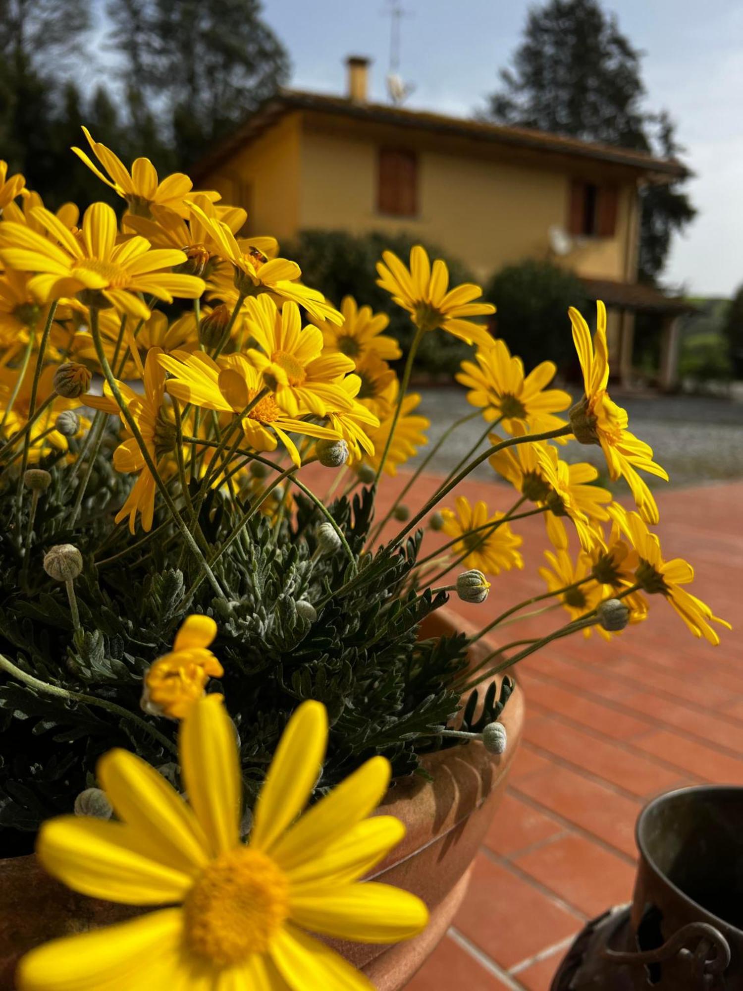 Agriturismo La Cerbana Palaia Eksteriør bilde